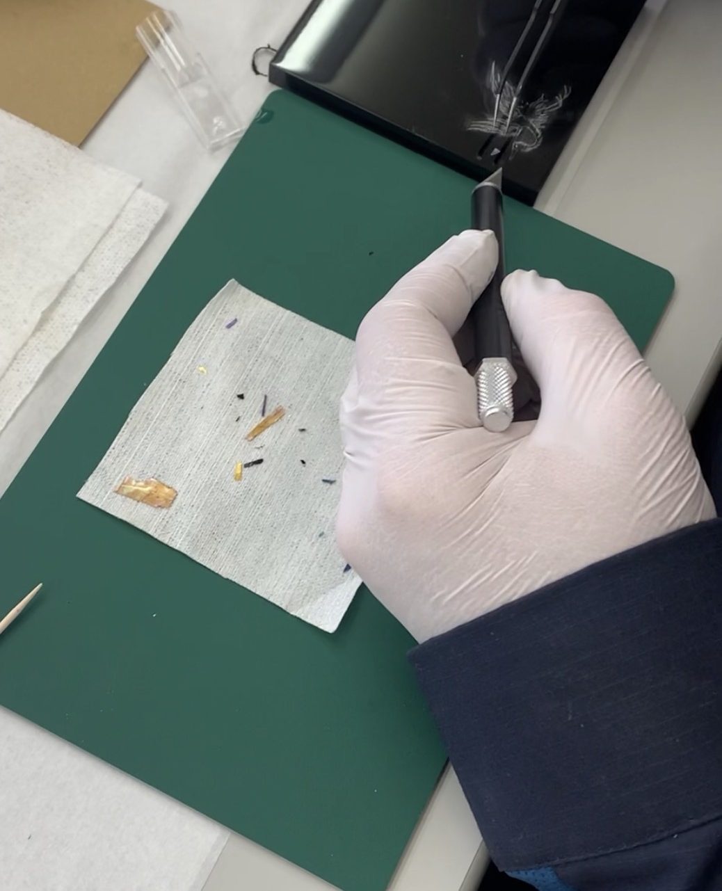 Maki-e brushwork on lacquer panel with gold flakes