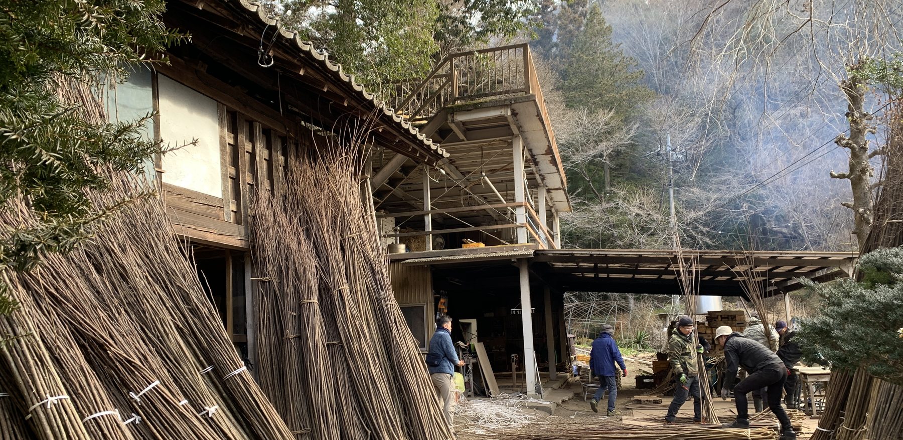 Bundled kozo mulberry branches outside traditional farmhouse workshop, Daigo Japan