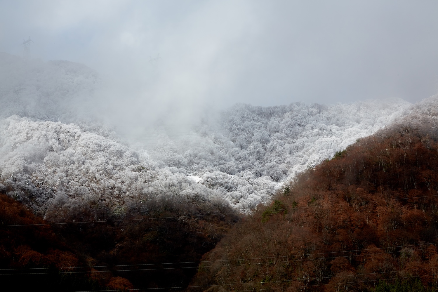Hokuriku winter — frosted mountain landscape